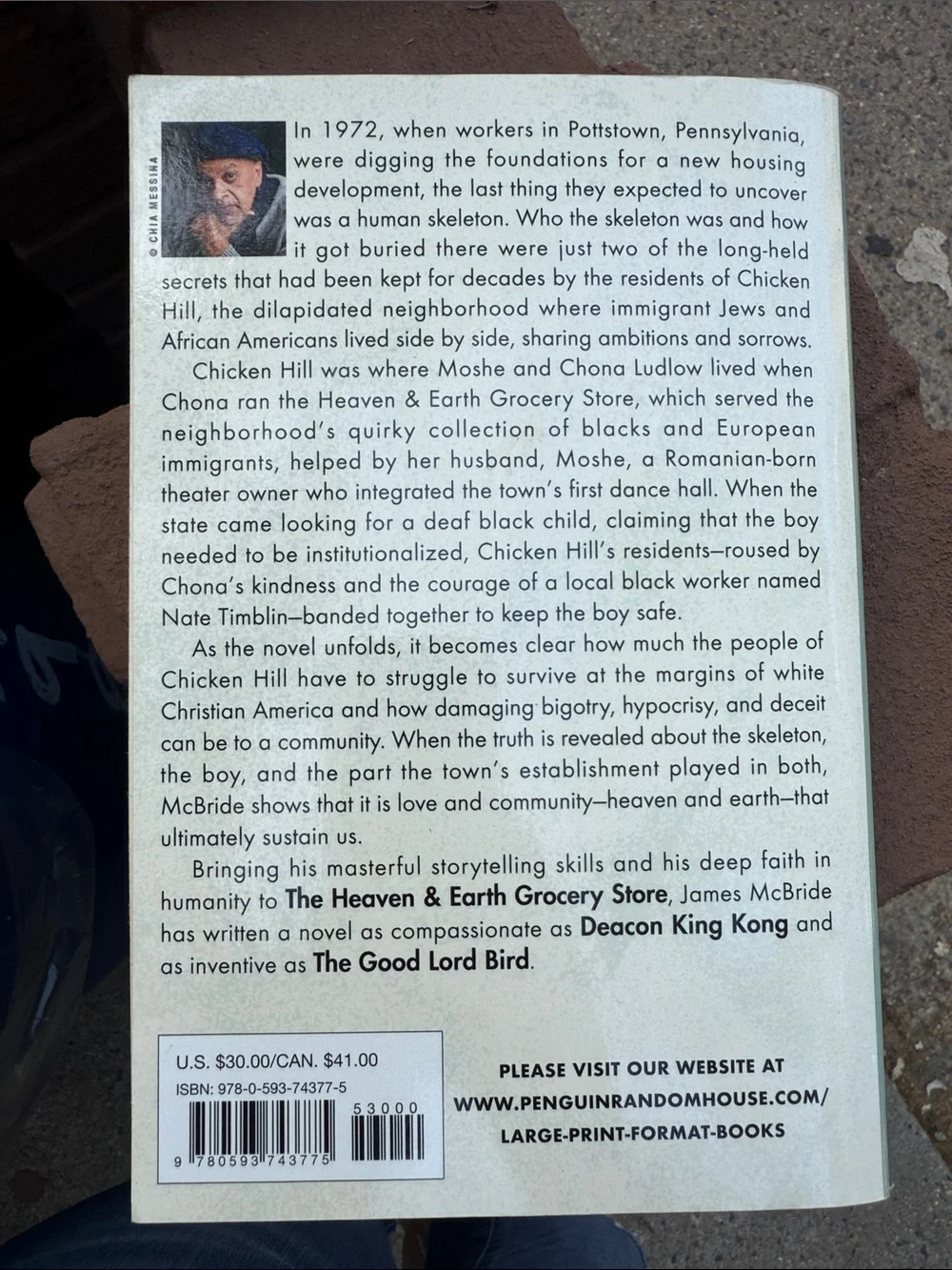 The Heaven & Earth Grocery Store by James McBride - Light Blue Cover - Picture 2 of 2